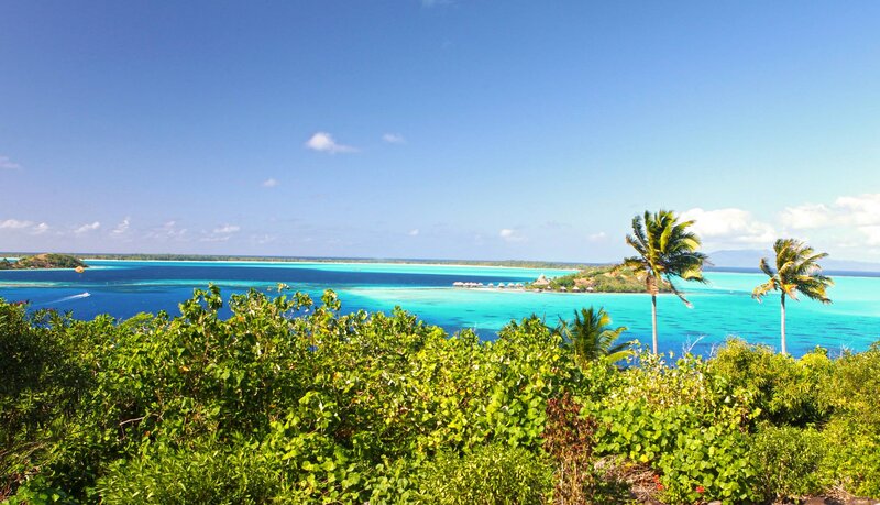 Tropical Island Lagoon — Blue, Serene, Afternoon, Photograph, Palm Trees