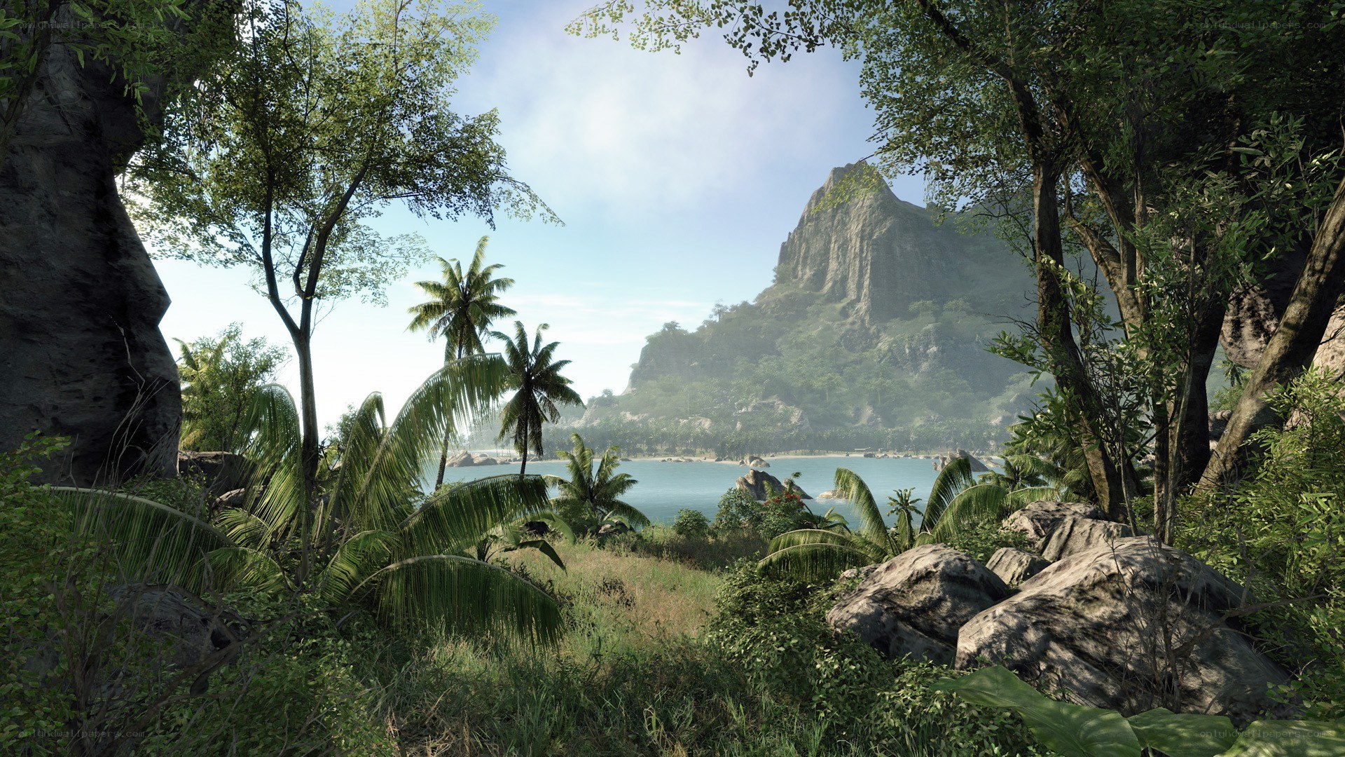 tropical island landscape
