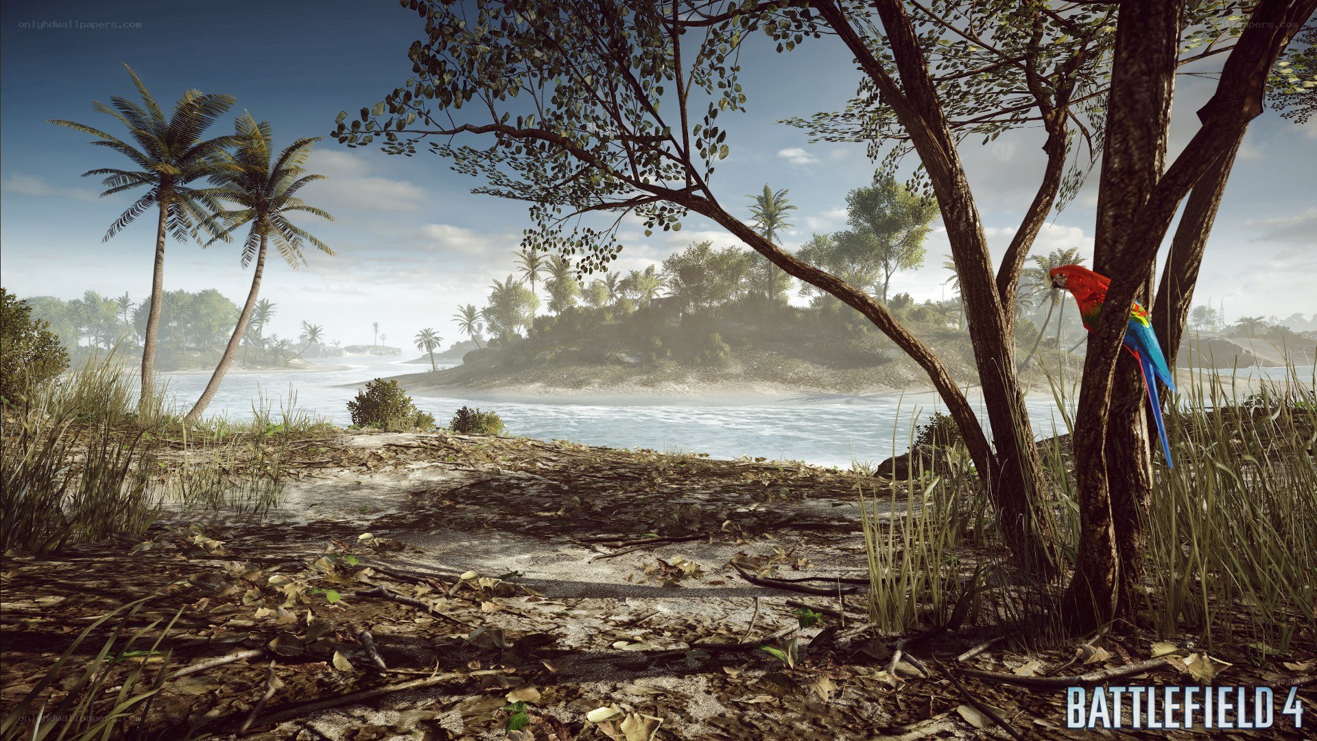 tropical island landscape