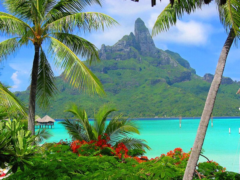 Tropical Island Landscape — Green, Serene, Afternoon, Photograph