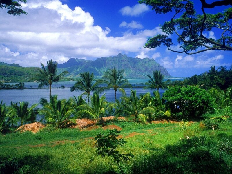 Tropical Island Landscape — Green, Serene