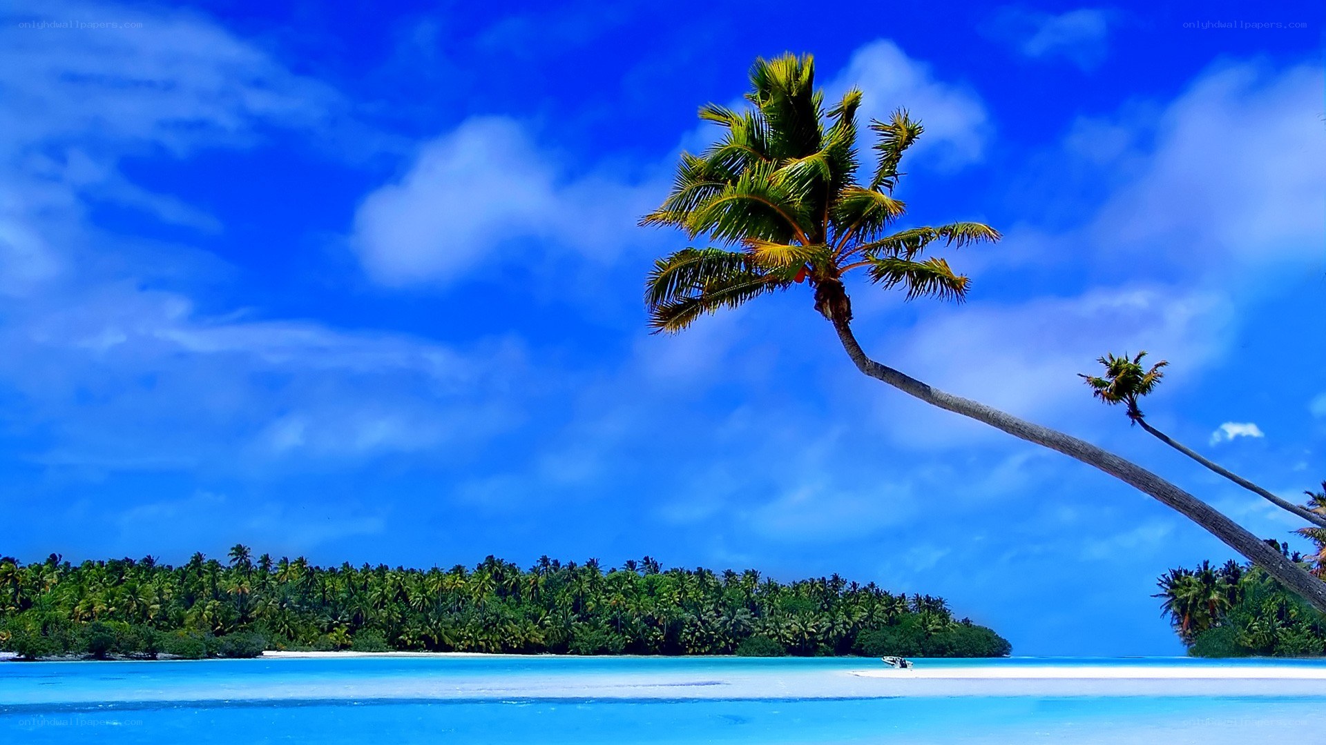 Tropical island paradise