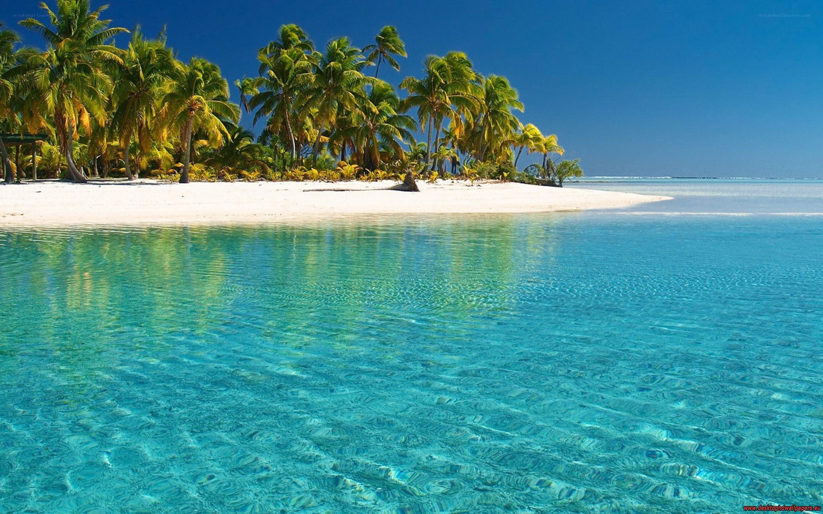 tropical island paradise