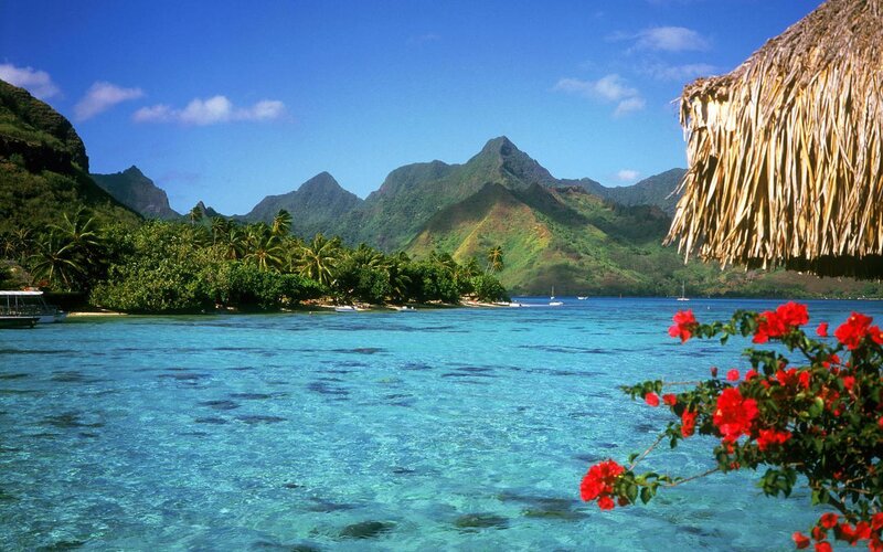 Tropical island paradise