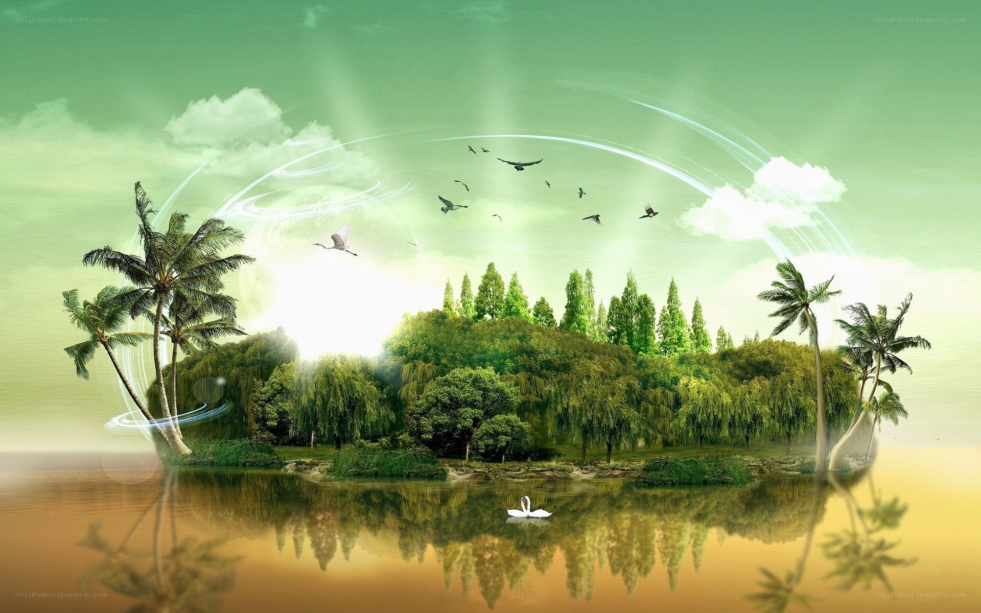 tropical island paradise