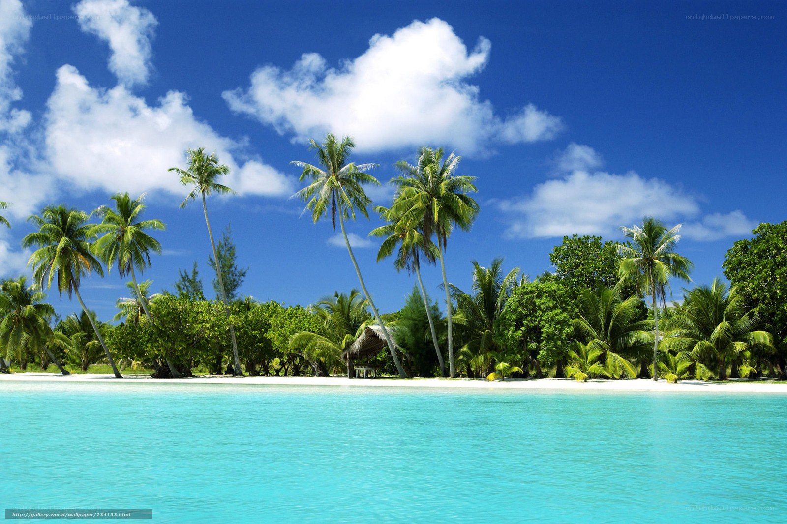 tropical island paradise