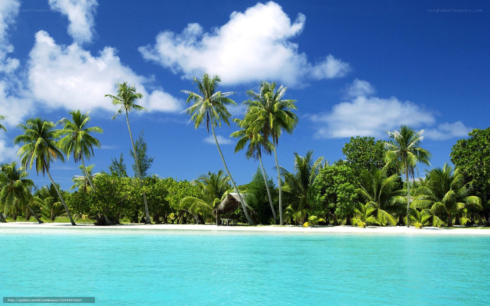 tropical island paradise