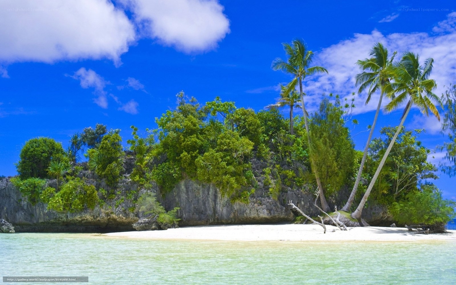 tropical island paradise