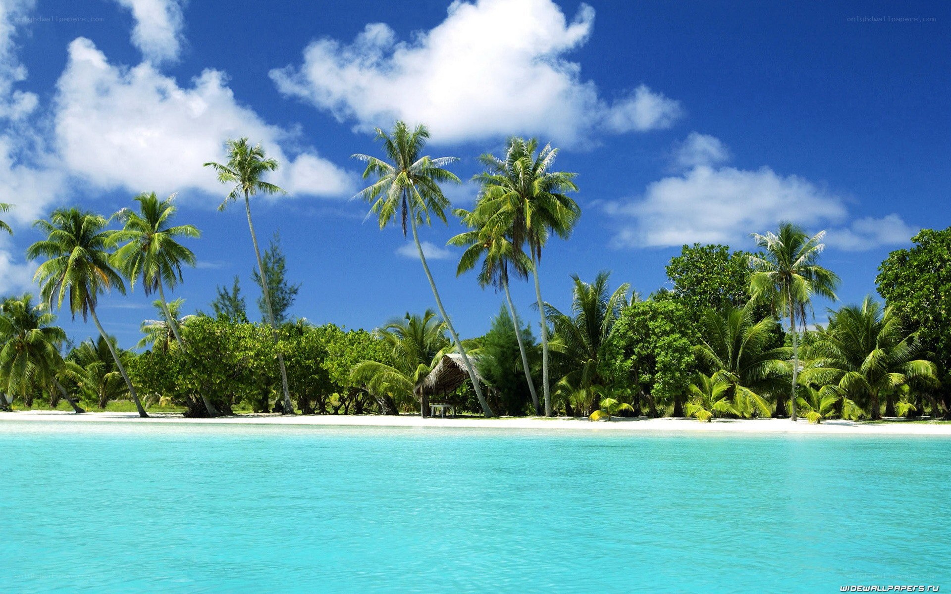 tropical island paradise