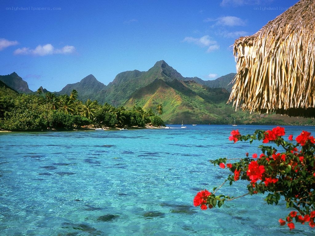 tropical island paradise