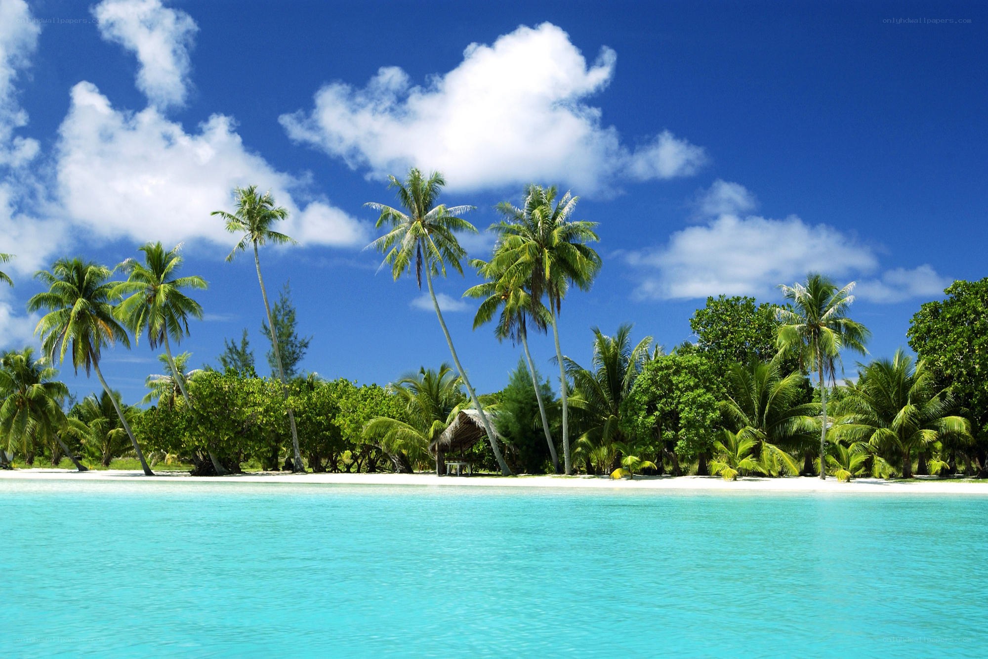 tropical island paradise