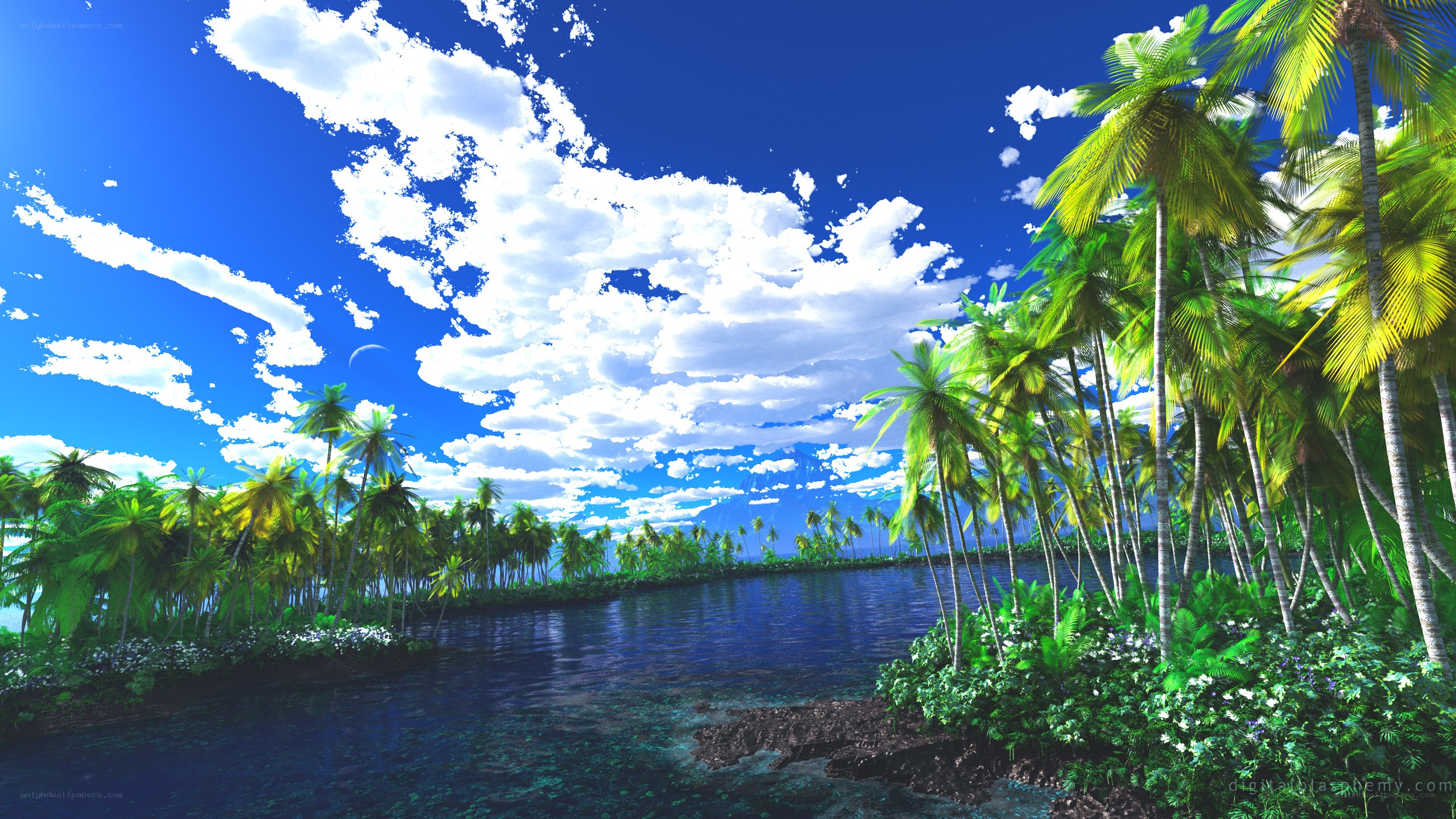 tropical island paradise