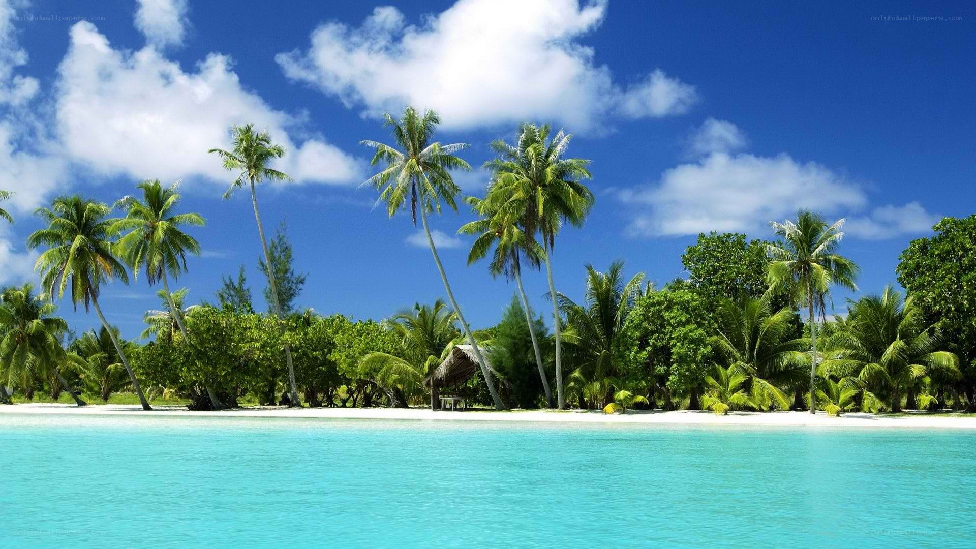 tropical island paradise