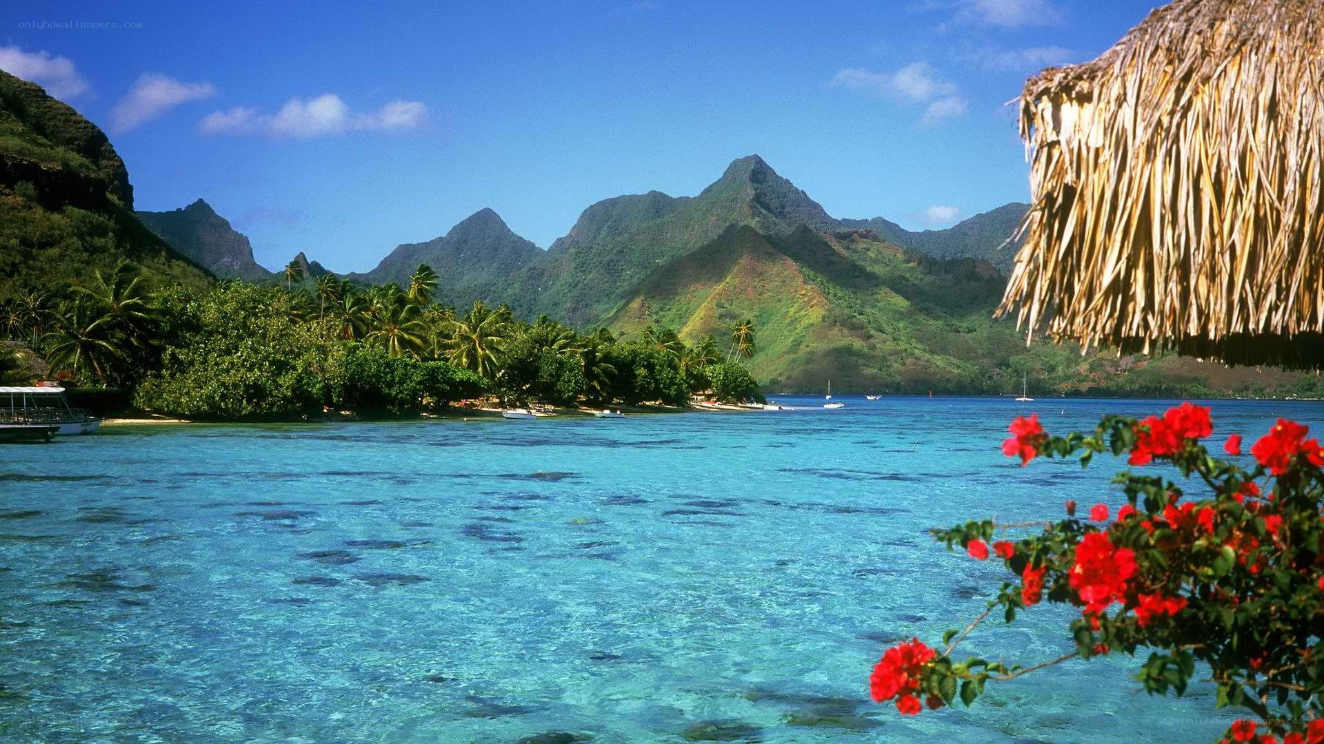 tropical island paradise