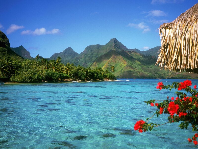 tropical island paradise