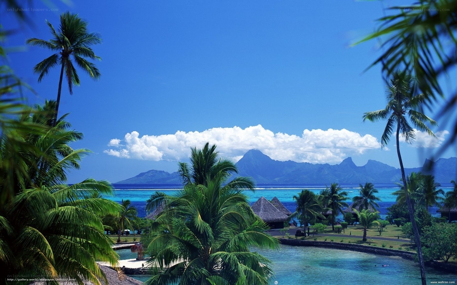 Tropical island paradise view