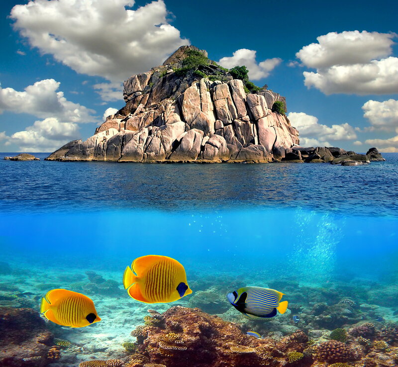 Tropical Island Reef — Blue, Serene, Afternoon, Photograph, Fish