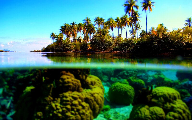Tropical Island Reef — Blue, Serene, Afternoon