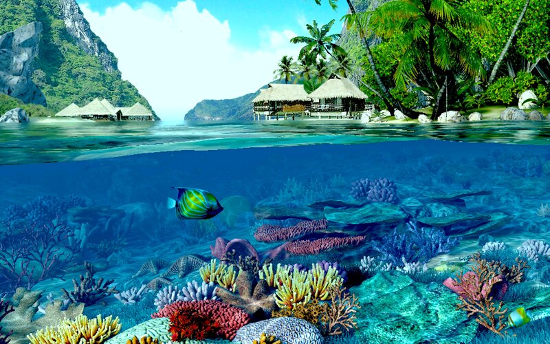Tropical Island Reef — Blue, Serene
