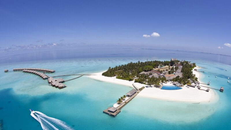 Tropical Island Resort — Blue, Serene, Afternoon, Photograph, Ocean, Palm Trees, Overwater Bungalows, Speedboat, White