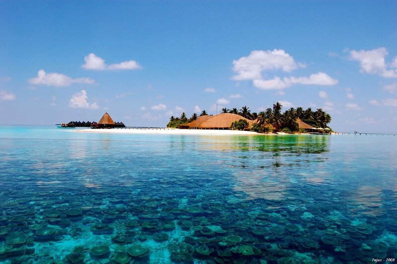 Tropical Island Resort — Blue, Serene, Afternoon, Photograph, Palm Trees, Beach, Ocean, Bungalows