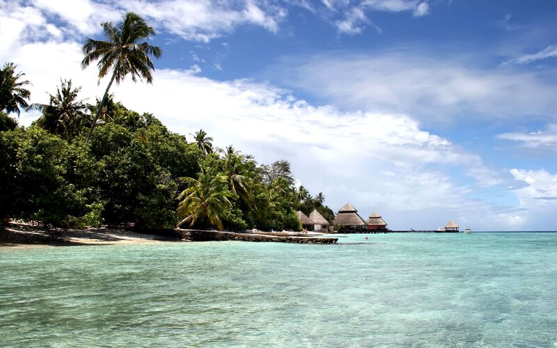 Tropical Island Resort — Blue, Serene, Afternoon, Photograph, Palm Trees, Overwater Bungalows, Ocean