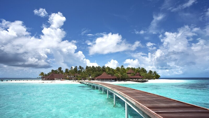 Tropical Island Resort — Blue, Serene, Afternoon, Photograph, Palm Trees, Wooden Pier, Ocean