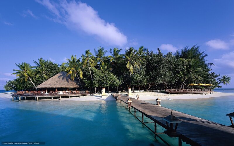 Tropical Island Resort — Blue, Serene, Afternoon, Photograph, Palm Trees, Wooden Pier, Thatched Hut, Beach