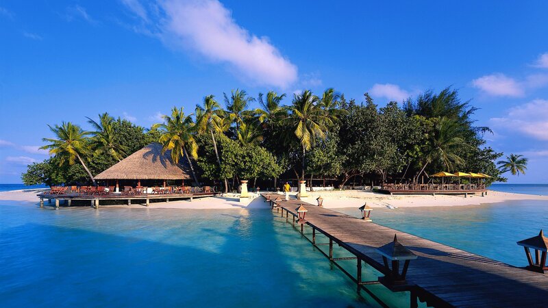 Tropical Island Resort — Blue, Serene, Afternoon, Photograph, Palm Trees, Wooden Pier, Thatched Roof, Beach