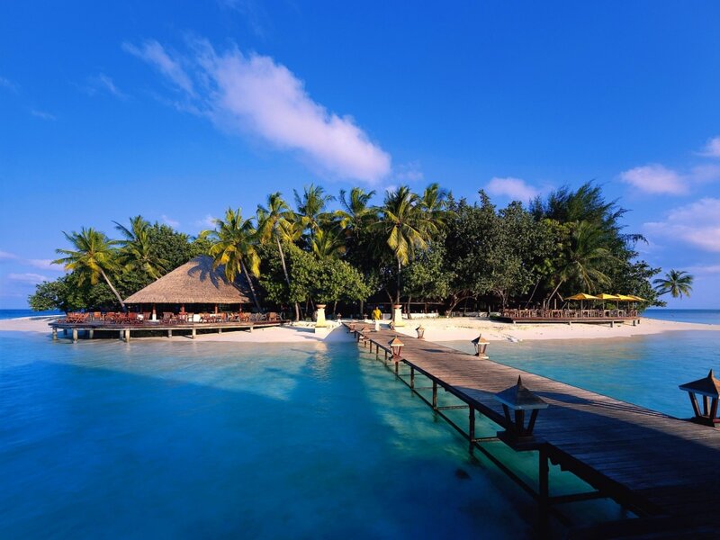 Tropical Island Resort — Blue, Serene, Afternoon, Photograph, Palm Trees, Wooden Pier