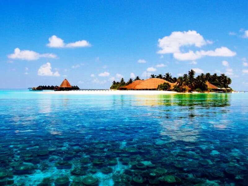 Tropical Island Resort — Blue