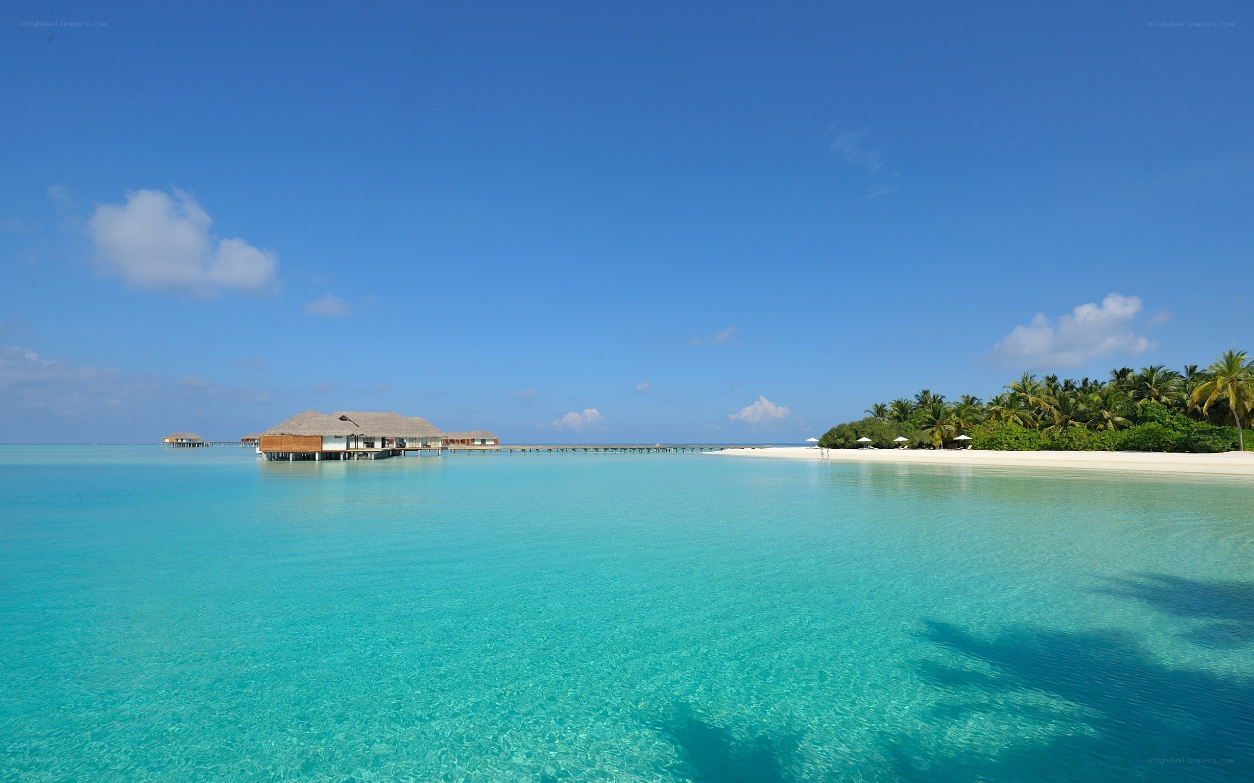 tropical island resort scene