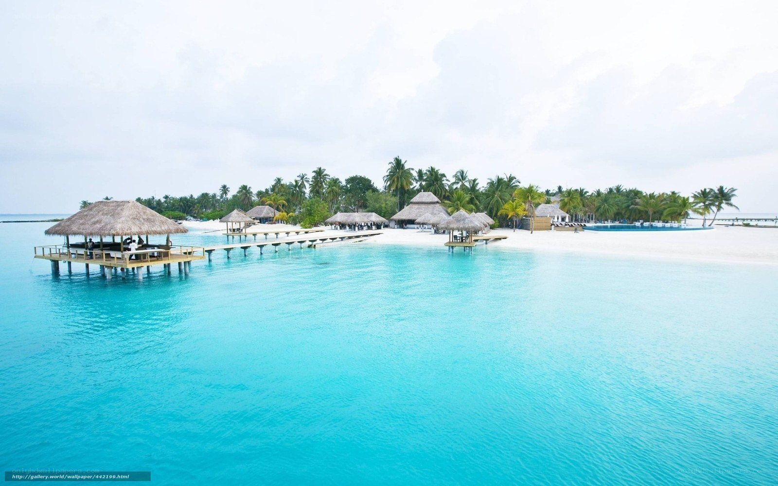 tropical island resort scene