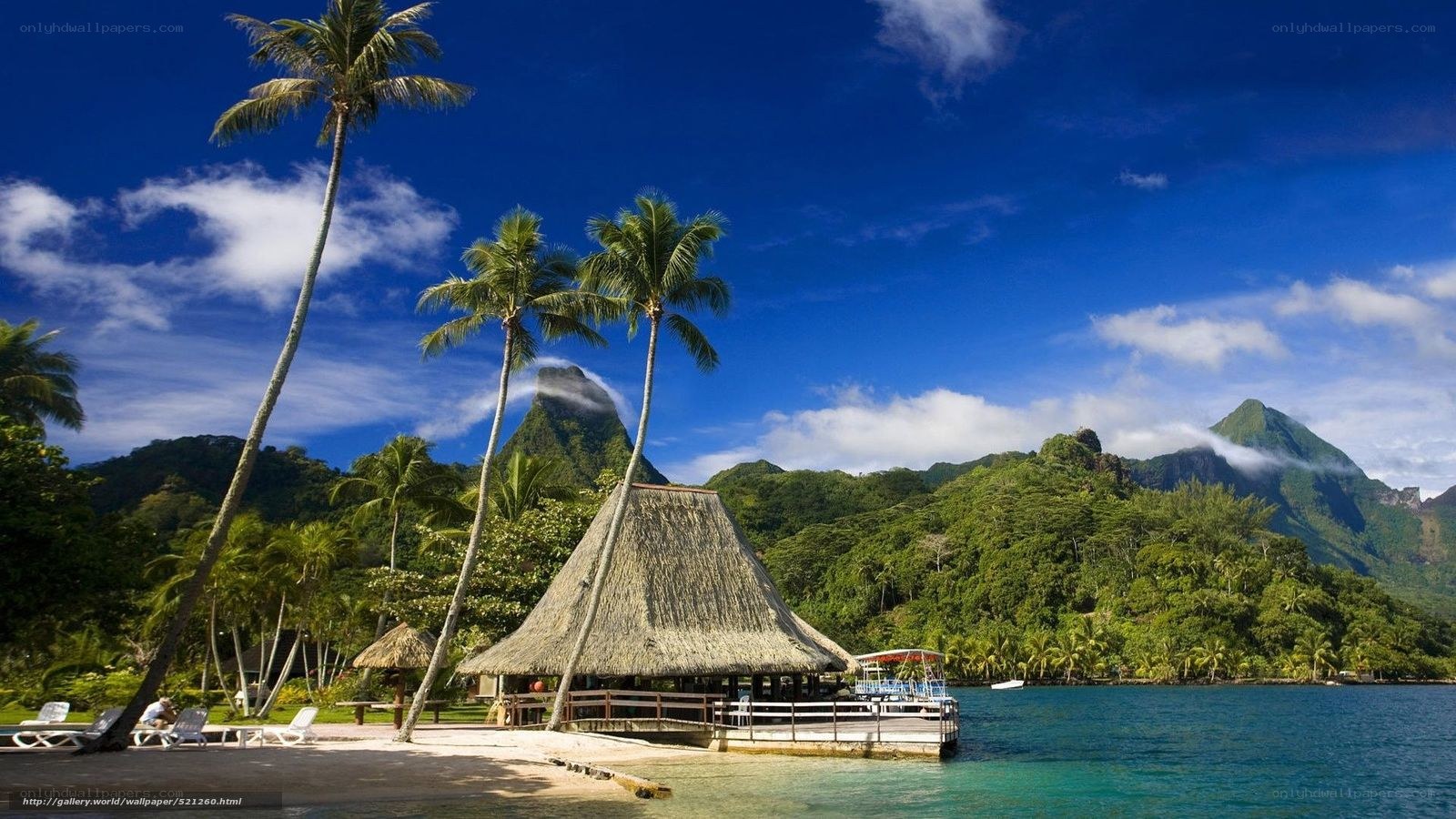 tropical island resort scene