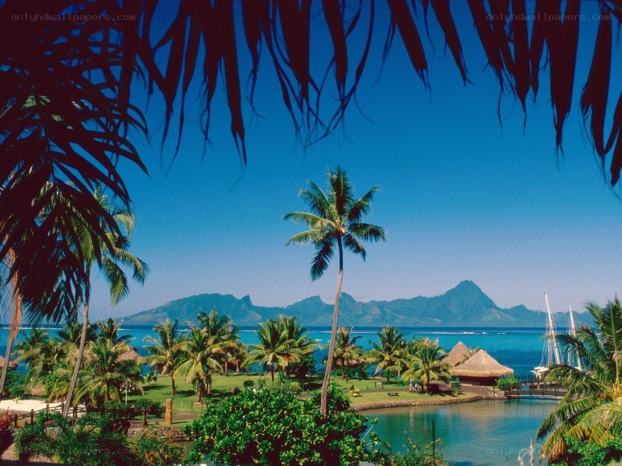 tropical island resort view