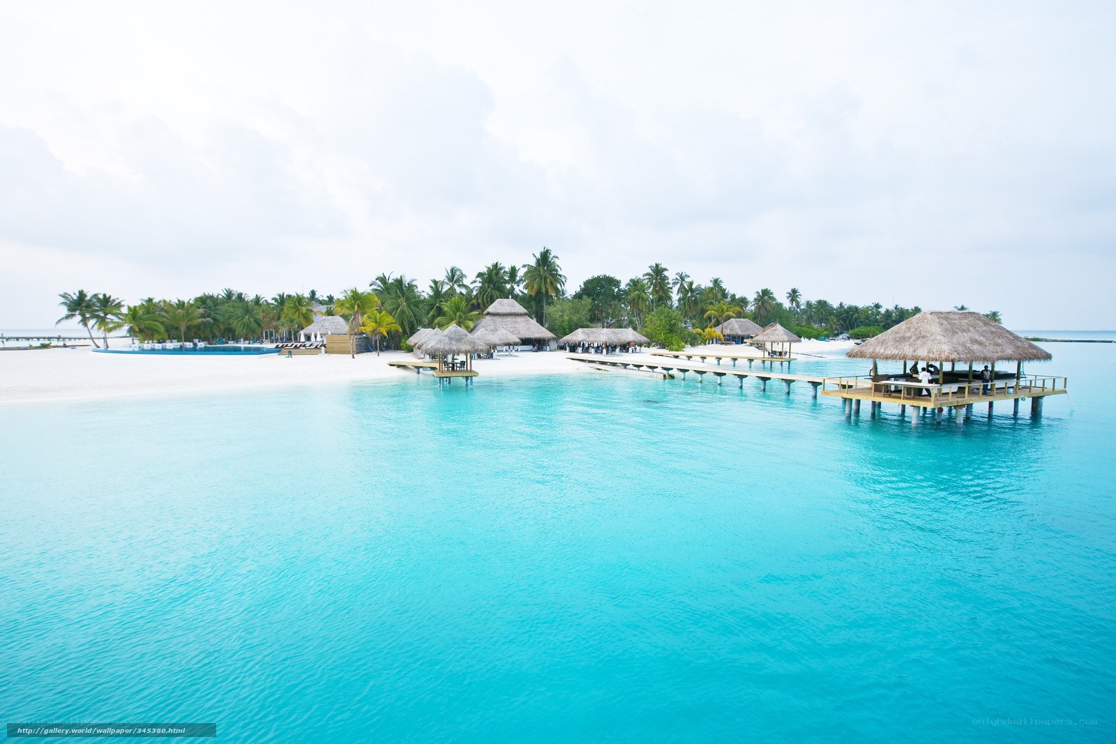 tropical island resort with overwater bungalows