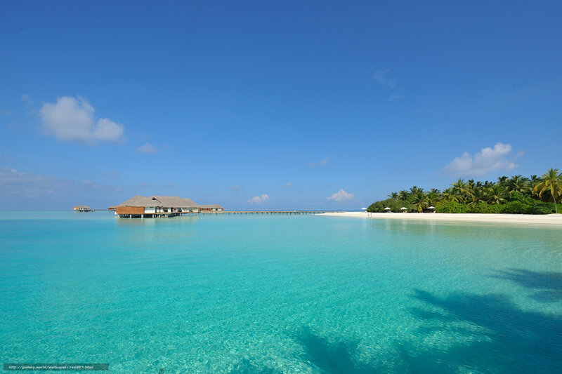 Tropical island resort with overwater bungalows