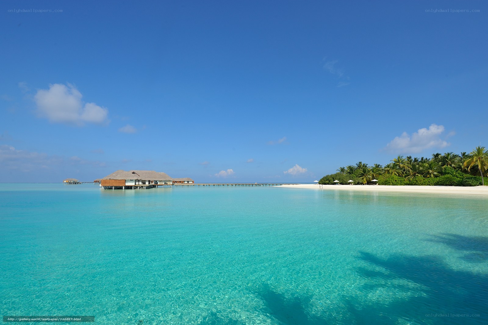 Tropical island resort with overwater bungalows