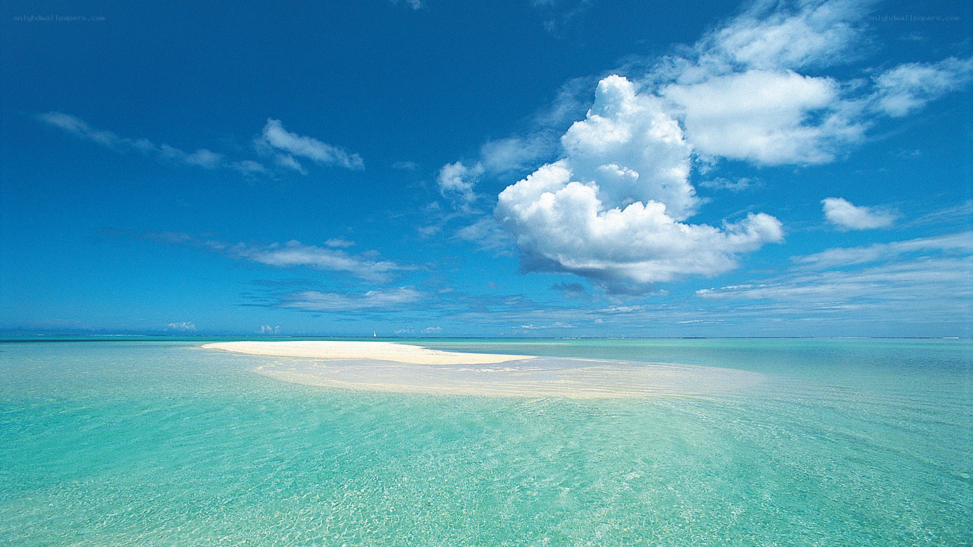 tropical island sandbar