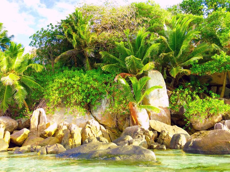 Tropical Island Shore