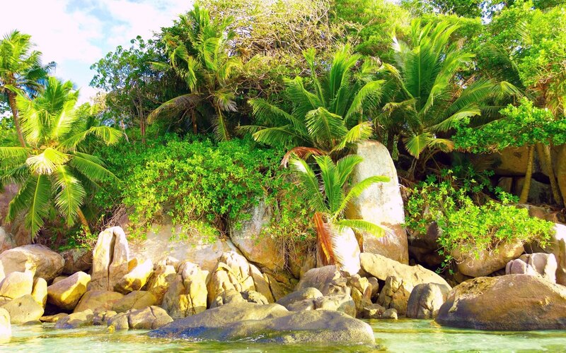 Tropical Island Shoreline — Green, Serene, Afternoon, Photograph