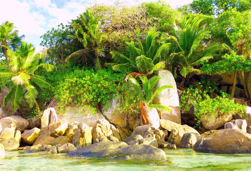 Tropical Island Shoreline — Green, Serene