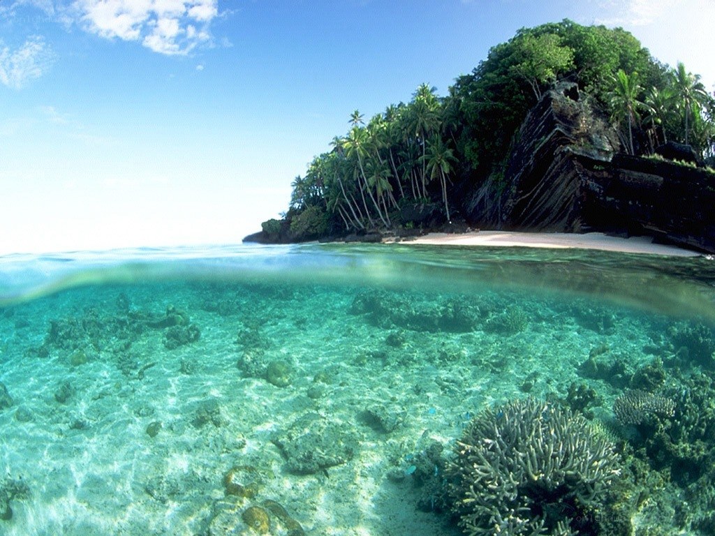 tropical island underwater view