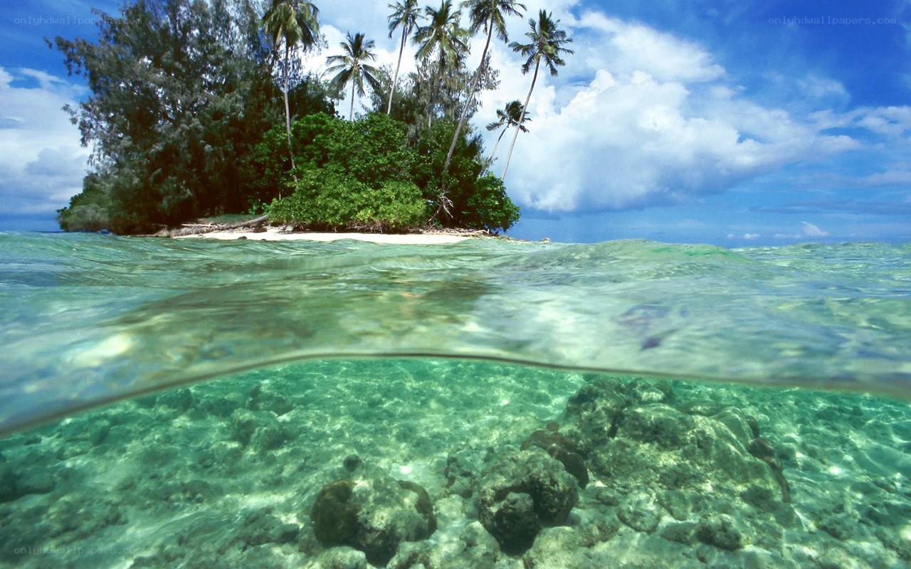 Tropical island underwater view