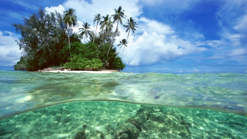 tropical island underwater view