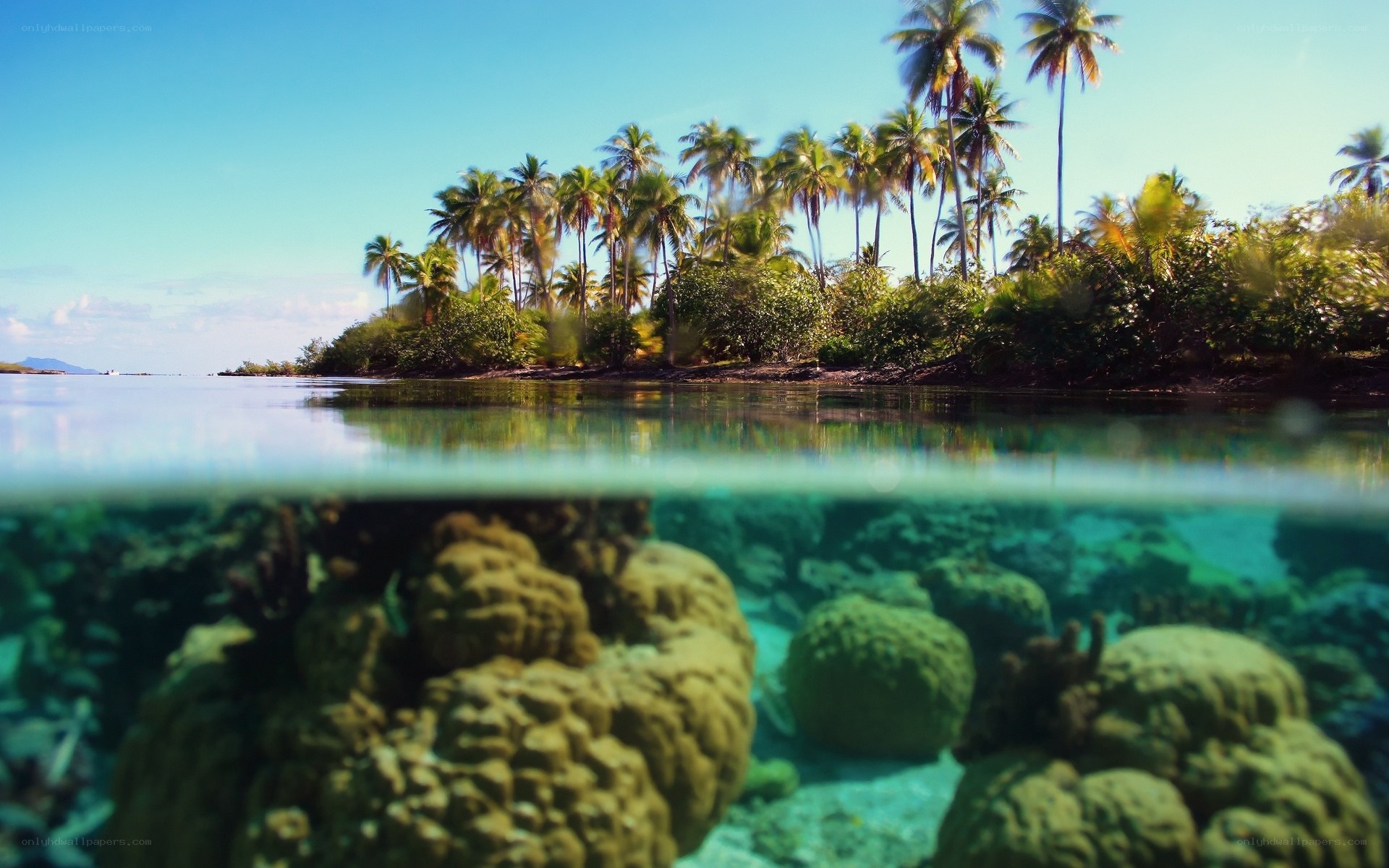 tropical island underwater view