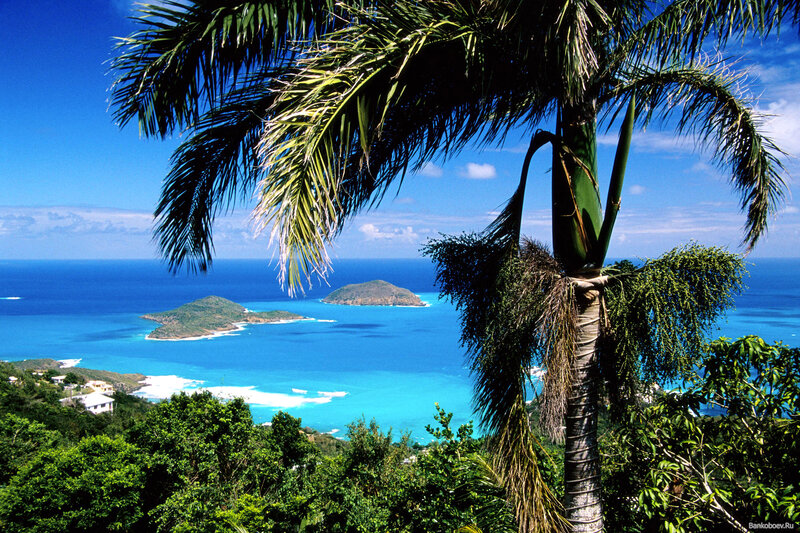 Tropical Island View — Blue, Serene