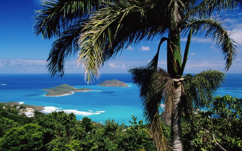 Tropical Island View — Blue