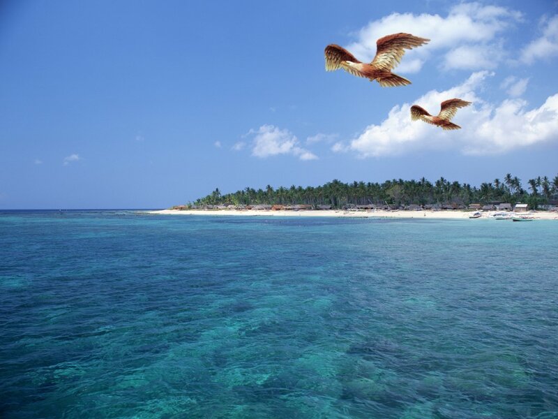 Tropical island with birds flying