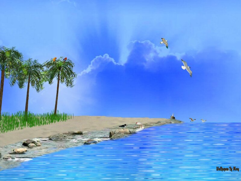 Tropical Island with Birds